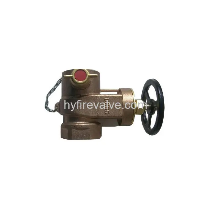 Dry Riser Gate Valve