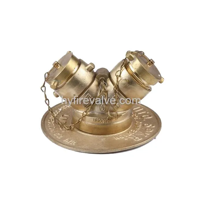 Fire Department Connection